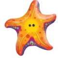 Starfish