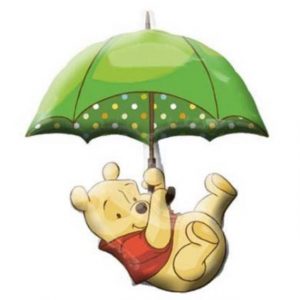 Winnie the Pooh