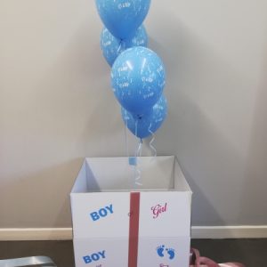 Boy or Girl Gender Reveal box